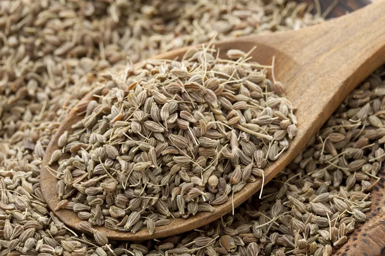 Benefits of Aniseed
