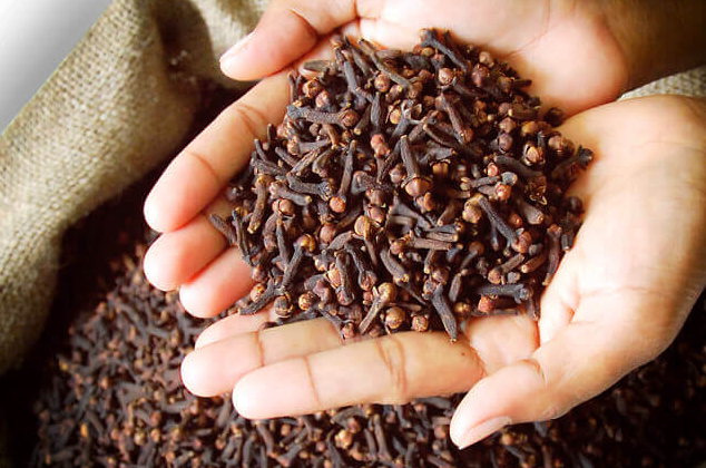 Health Benefits of Clove