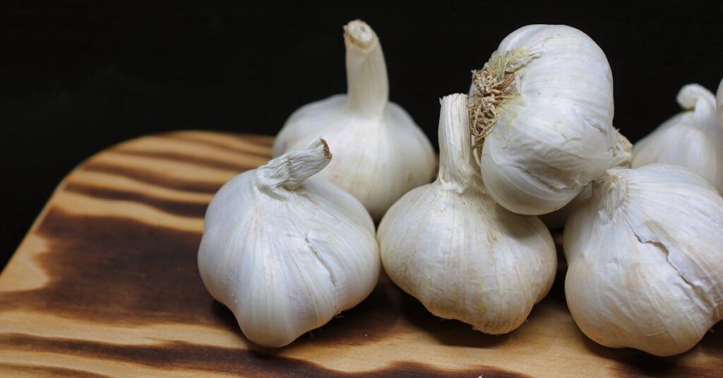 Health Benefits of Garlic