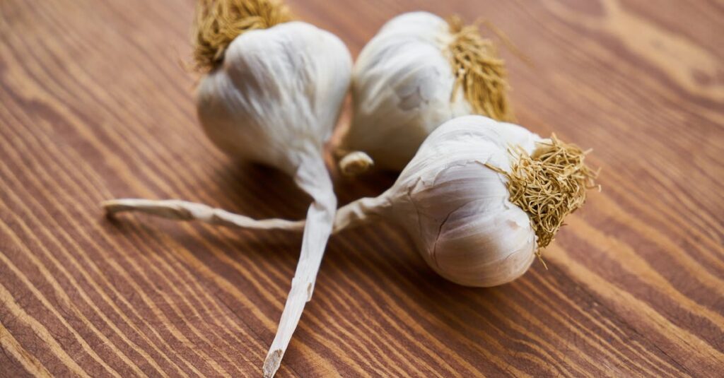 Health Benefits of Garlic