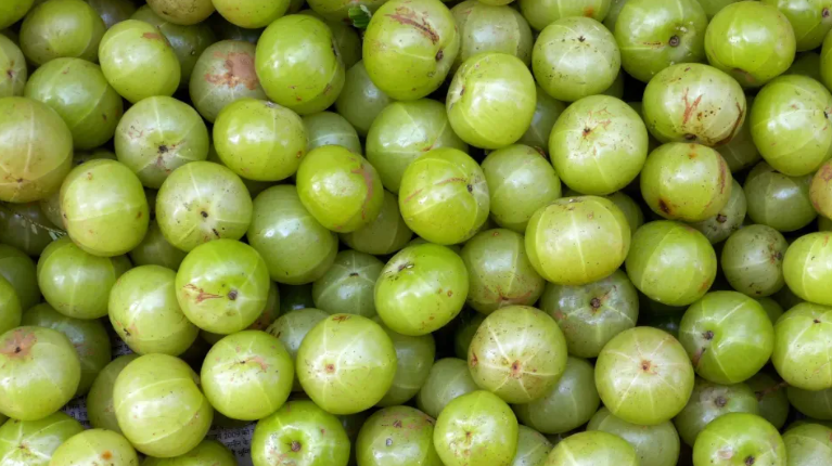 benefits of indian gooseberry