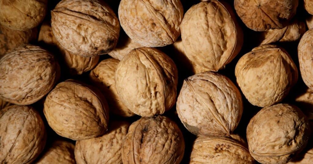 Close-up of fresh unshelled walnuts, known for their health benefits for brain and heart.