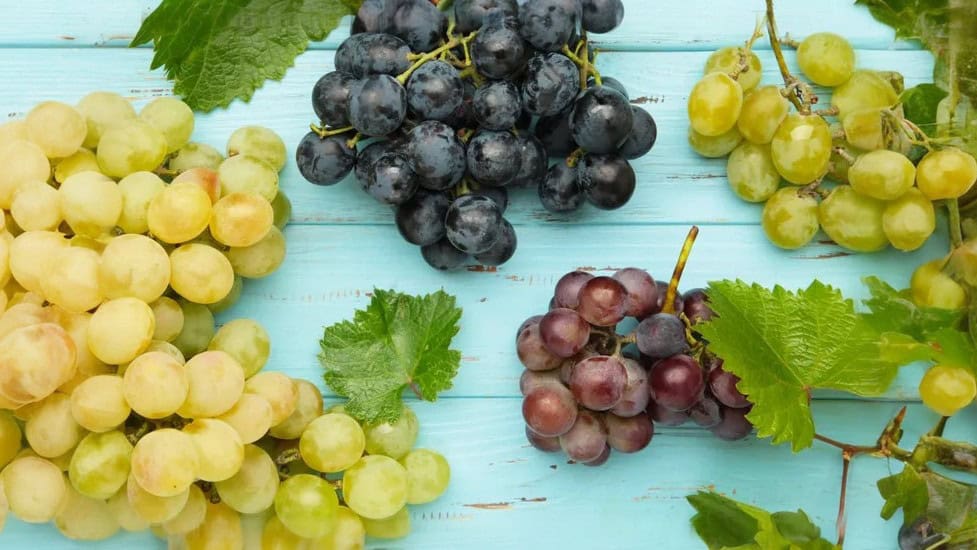 Fresh grapes in green, black, and red varieties on a rustic wooden surface, ideal for healthy snacking and natural remedies.